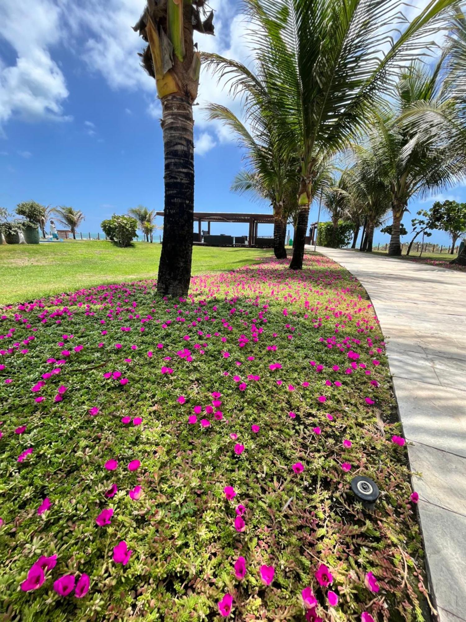 Resort Beira Mar Em Porto De Galinhas - Cupe Beach Living Порту-де-Галиньяш Экстерьер фото